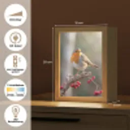 Roodborst - Tak - Bessen - Natuur Light Box met kabel (Kinderlampje) klein -USP_DE