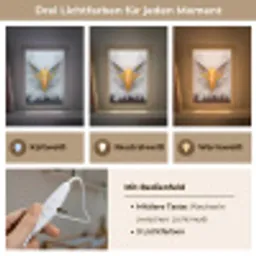 Amerikaans - Zeearend - Portret - Geel Light Box met kabel (Kinderlampje) klein -USP_lichtkleurDE