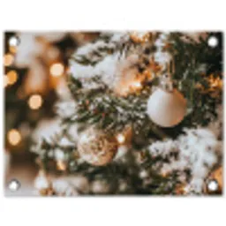 Kerst - Kerstboom - Winter - Binnen - Sneeuw tuinposter los doek klein -3d