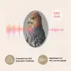 Vogel - Realistisch - Veren - Bruin Akoestische PET Vilt - Rond klein -USP_NL