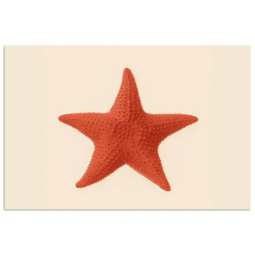 Zeester - Bobbels - Rood poster papier klein -3d