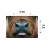 Schotse hooglander - Neus - Bruin Placemat vinyl groot -specs