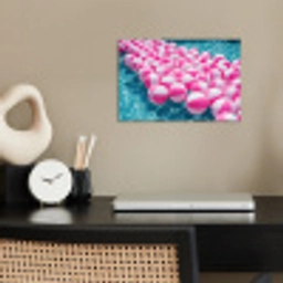 Strandballen - Roze - Water poster papier klein -sfeer1