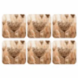 Schermbloem - Droogbloem - Winter - Beige - Minimalistisch onderzetter kurk middel -3d