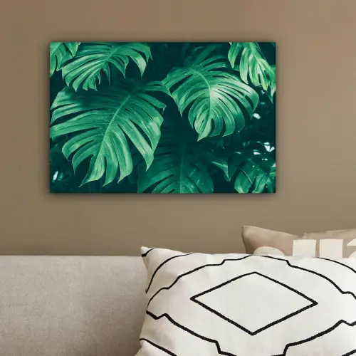 Monstera - Bladeren - Planten - Jungle - Natuur canvas 2cm klein -sfeer3