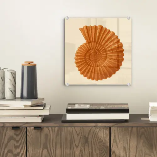 Schelp - Oranje - Ribbels plexiglas 5mm klein -sfeer1
