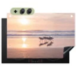 Zee - Vogels - Strand Inductie beschemer met haakjes klein -3d