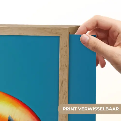 Toekan - Papegaai - Vogel - Koksmuts Light Box met batterij (Wandlamp) middel -USP_websiteprintNL