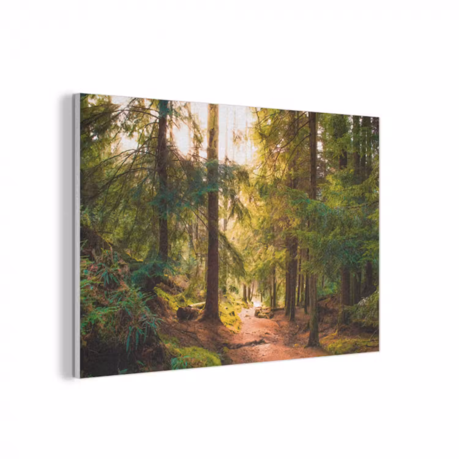 Akustikbild - Wald - Weg - Bäume - Grün - Sonne - Natur