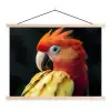 Close-up - Papegaai - Veren - Oranje textielposter latten blank klein -3d