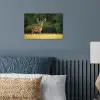 Hert - Gewei - Gras - Natuur - Dieren - Groen poster papier klein -sfeer2