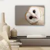 Uil - Bruin - Wit canvas 2cm klein -sfeer6