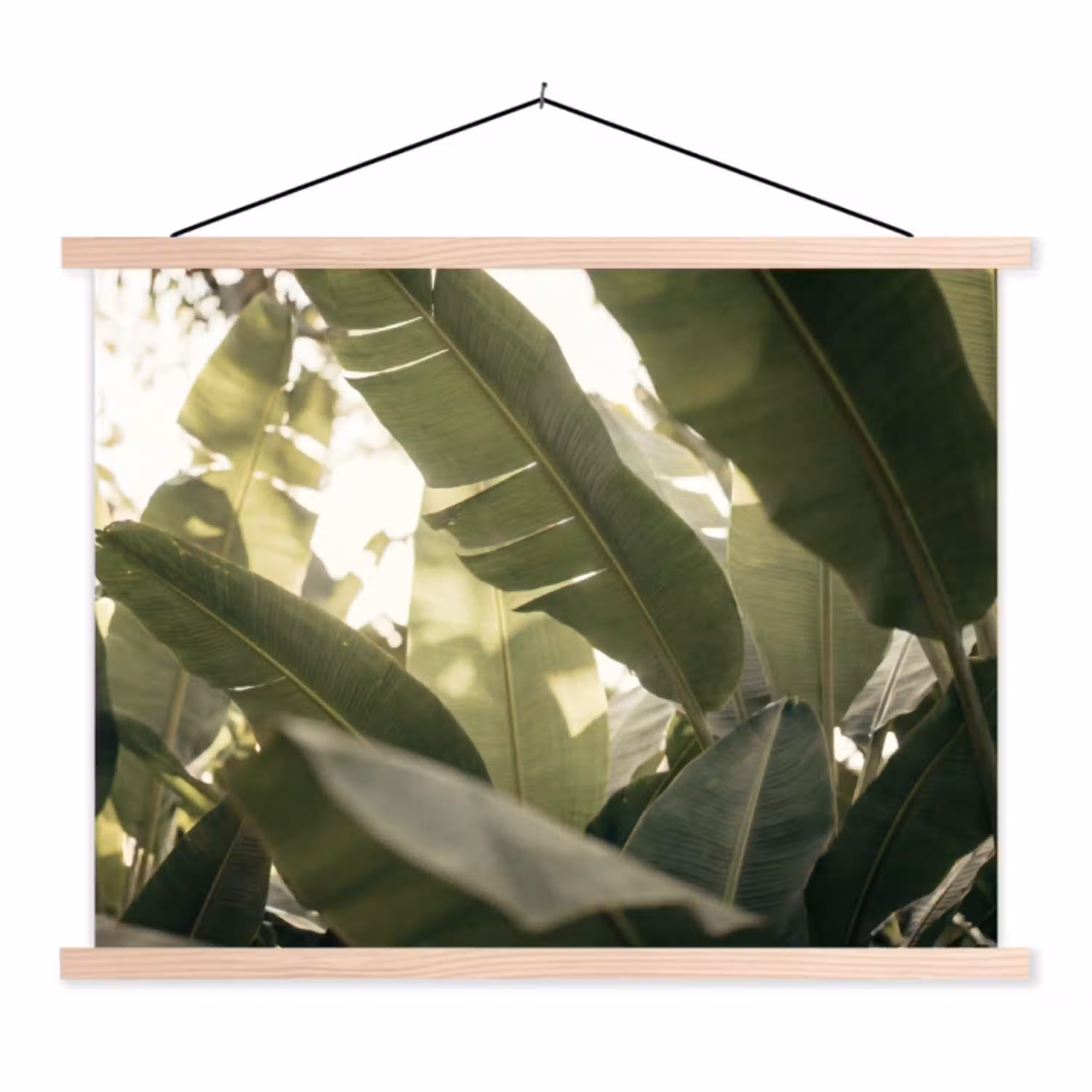 Natuur - Bladeren - Groen - Tropisch - Detail textielposter latten blank klein -3d