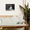 Langharige kat - Zonnebril - Spaghetti - Humor - Zwart - wit tuinposter los doek klein -sfeer7