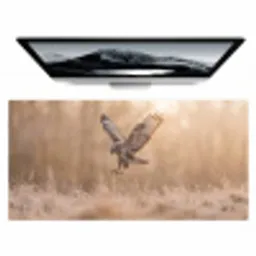 Buizerd - Roofvogel - Natuur - Bruin Muismat XXL klein -zzz3d