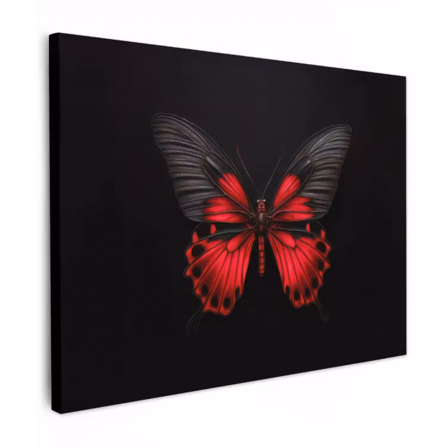 Canvas schilderij - Vlinder - Rood - Contrast