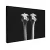 Struisvogels - Halzen - Zwart - Minimalistisch canvas 2cm klein -z3d
