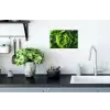 Groente - Sla - Groen Muursticker klein -keuken