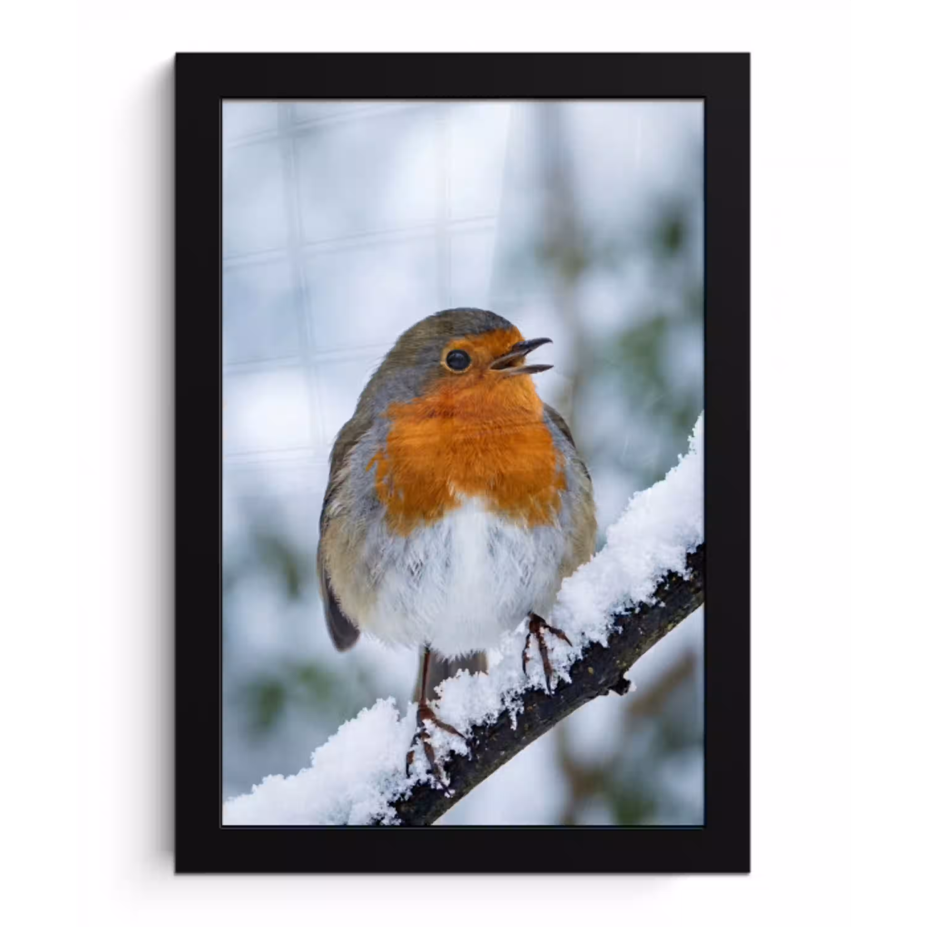 Roodborstje - Tak - Sneeuw - Winter - Levendig fotolijst zwart zonder passe partout klein -3d