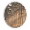 Bos - Mist - Zonlicht Akoestische PET Vilt - Rond klein -3d