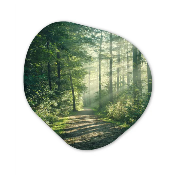 Bos - Pad - Zon - Bomen - Groen - Natuur Wandcirkel Organisch Forex 3mm klein -3d