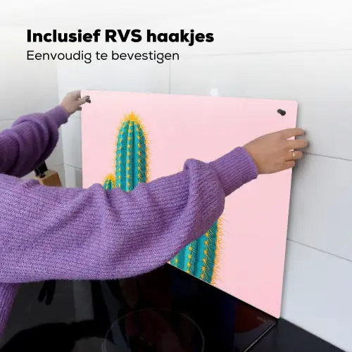 Cactussen - Modern - Pastel Inductie beschemer met haakjes klein -ky-ophangen-nl