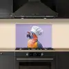 Papegaai - Koksmuts - Paars - Cute keuken achterwand spatscherm klein -sfeer1