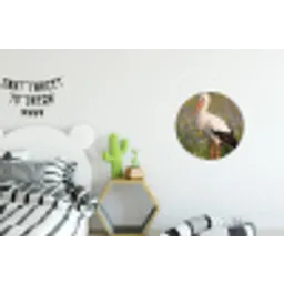 Ooienvaar - Bloemen - Weide - Kleurrijk Wandcirkel aluminium klein -kinderkamer