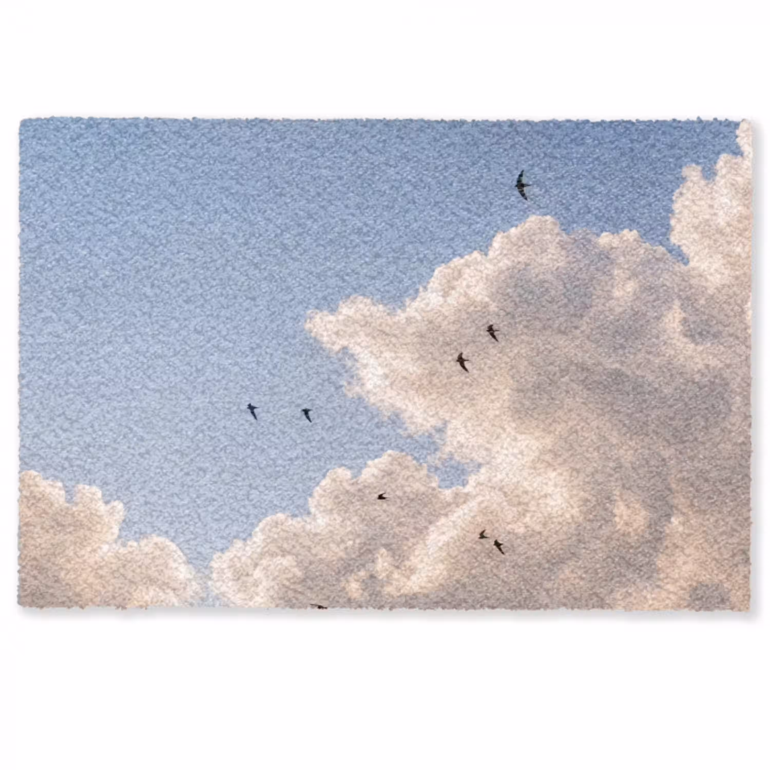 Vogel - Vlucht - Wolken - Natuur - Blauw Deurmat klein -zkaufland3d