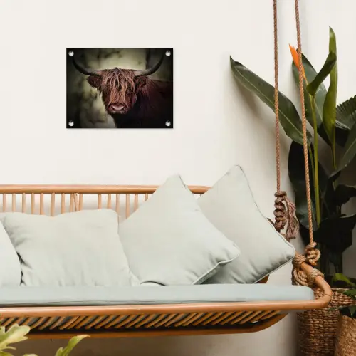 Schotse hooglander - Licht - Portret - Natuur tuinposter los doek klein -sfeer7
