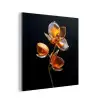 Bloem - Orchidee - Oranje aluminium wit klein -3d