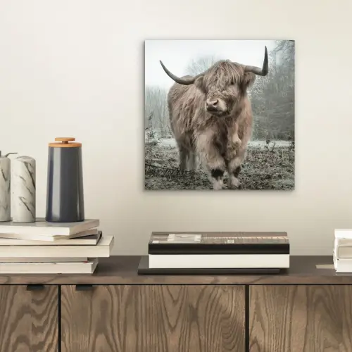 Schotse hooglander - Natuur - Herfst - Dieren - Wild - Bos aluminium wit klein -sfeer1