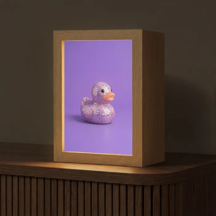 Disco - Eend - Paars Light Box met kabel (Tafellamp) klein -z3d_website