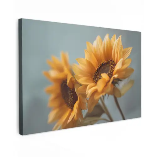 Zonnebloemen - Geel - Wazig canvas 2cm klein -z3d