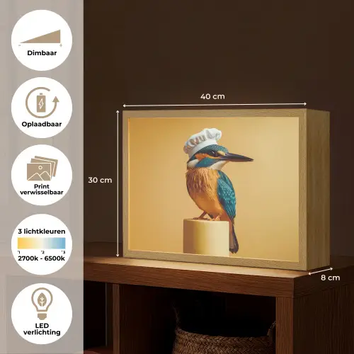 Ijsvogel - Pilaar - Koksmuts - Vogel Light Box met batterij (Wandlamp) middel -USP_websiteoverzichtNL