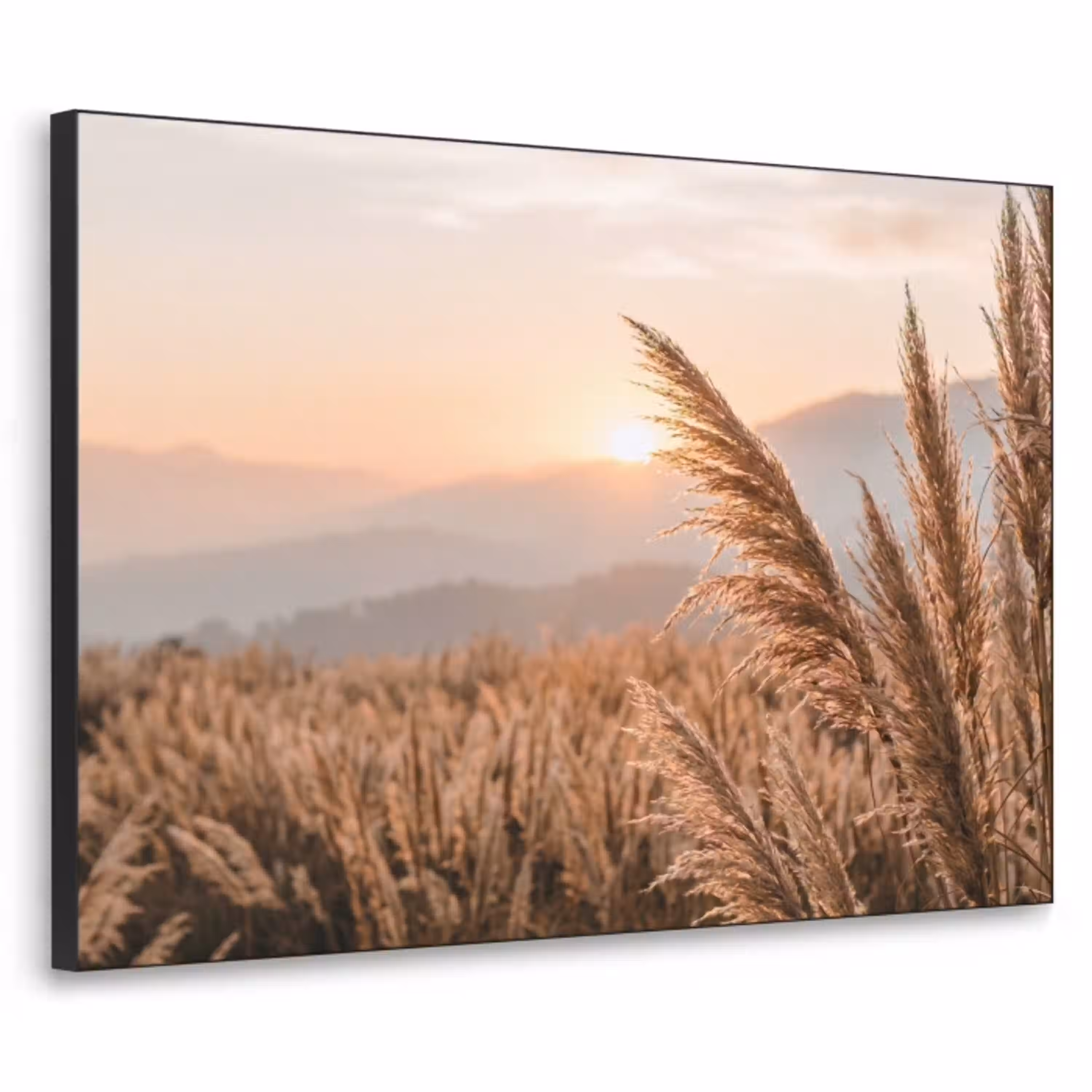 Gras - Veld - Zon - Natuur Textielframe zwart klein -3d
