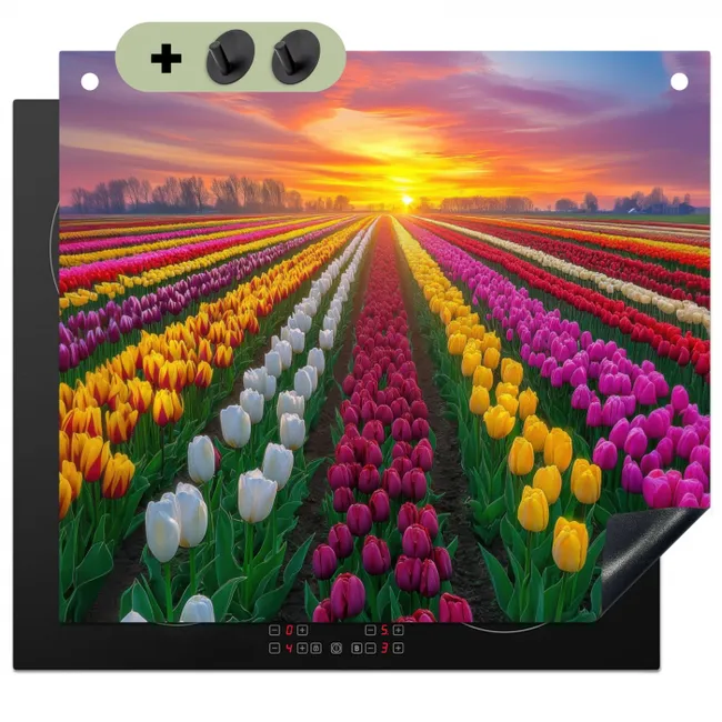 Inductie beschermer en spatscherm (2in1) - Tulpenveld - Zonsondergang - Kleurrijk