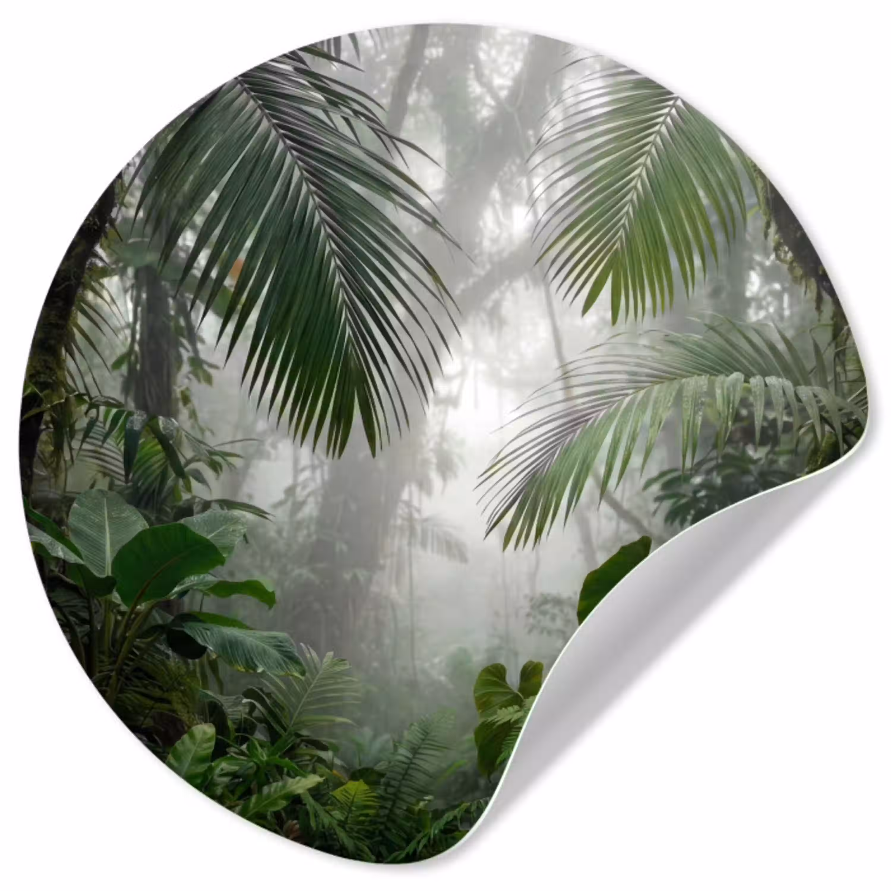 Natuur - Jungle - Mist - Tropisch - Groen Wandcirkel behangsticker klein -3d