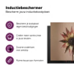Droogbloem - Protea - Vintage - Beige - Rustiek Inductie beschermer vinyl 3mm middel -zzzzzzz-cc-usp