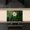 Narcis - Bloem - Wit - Grassprieten keuken achterwand spatscherm klein -sfeer1
