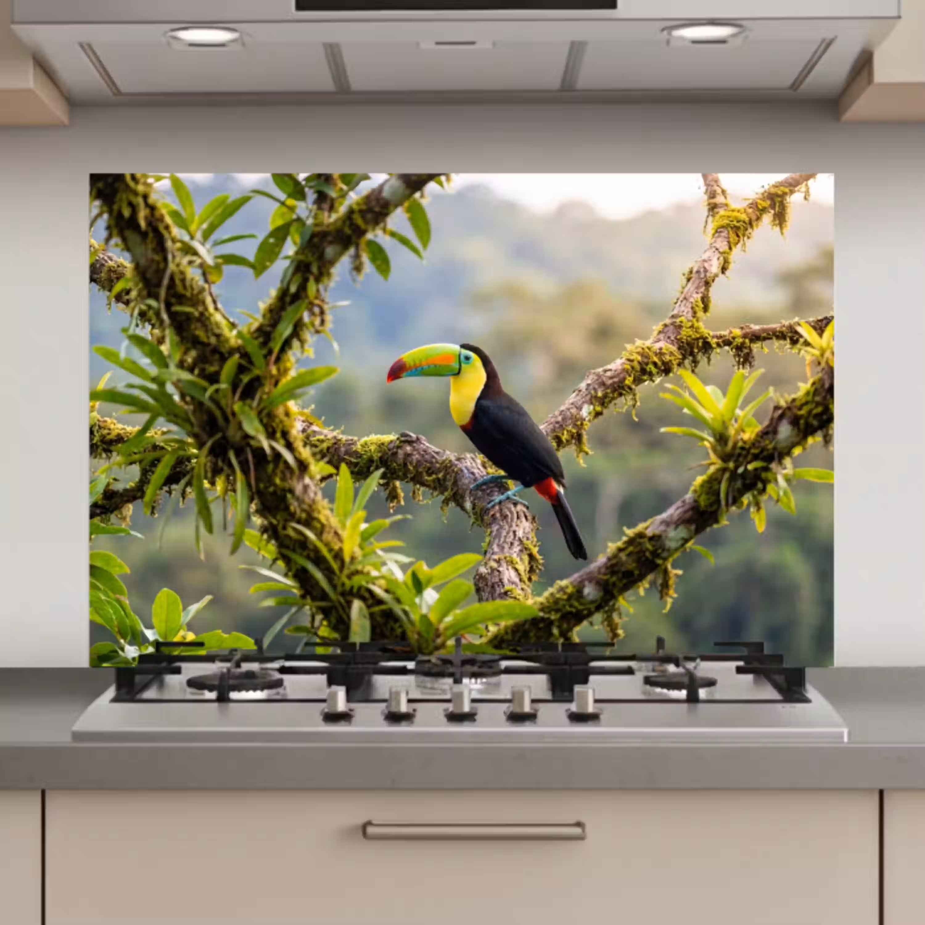 Toekan - Jungle - Natuur - Kleurrijk keuken achterwand spatscherm klein -3d_website