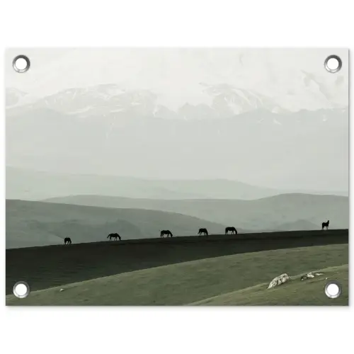 Grijs - Berg - Paarden tuinposter los doek klein -3d