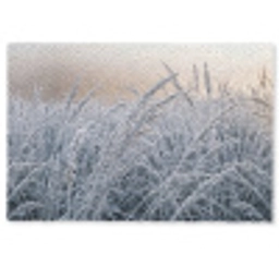 Rijp - Gras - Kristallen - Winter - Minimalistisch Deurmat klein -zkaufland3d