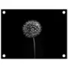 Paardenbloem - Zwart - Bloemen - Botanisch tuinposter los doek klein -3d