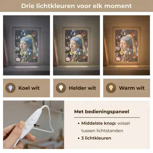 Meisje met de parel - Johannes Vermeer - Bloemen Light Box met kabel (Wandlamp) klein -USP_lichtkleurNL