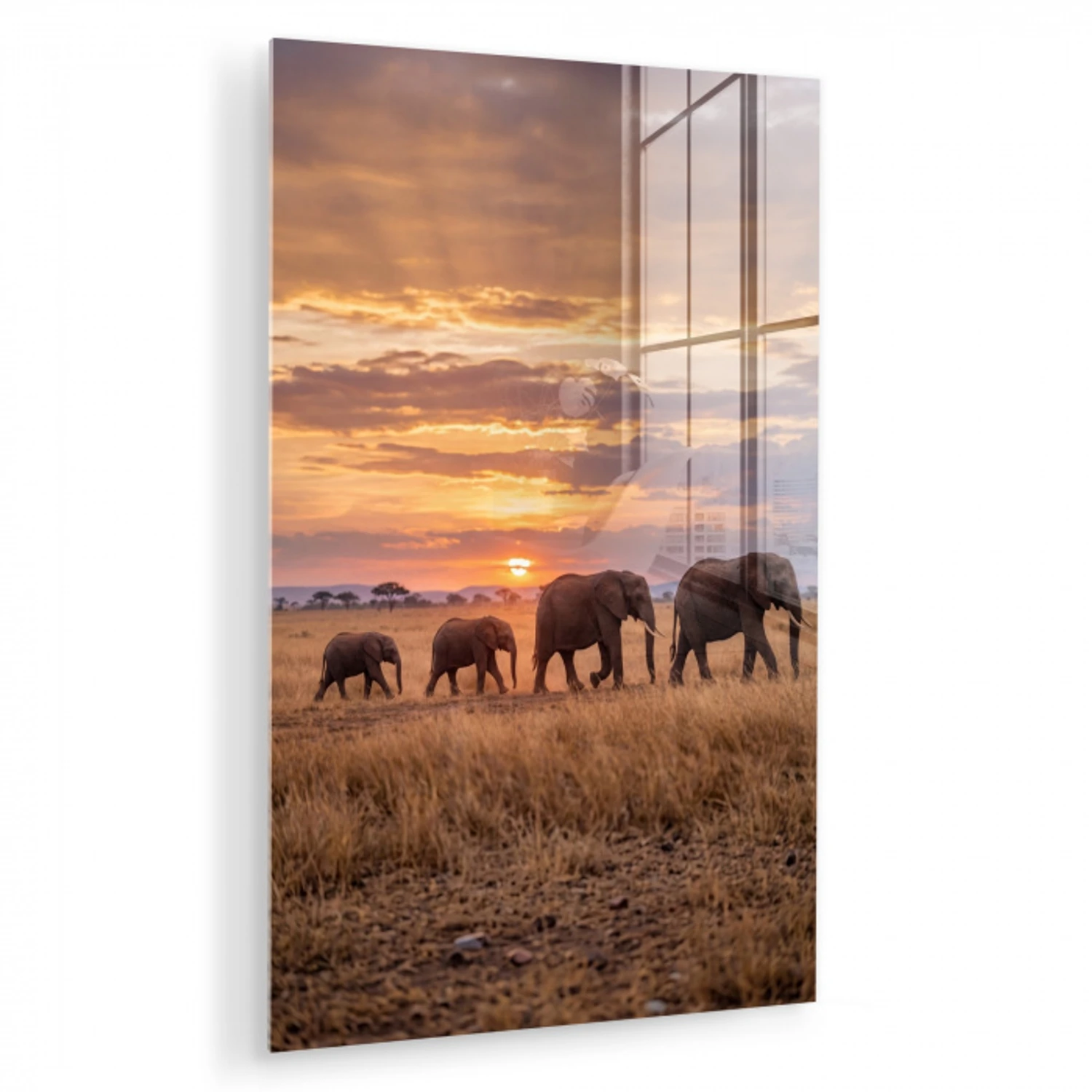 Olifanten - Savanne - Zonsondergang - Afrika - Warm plexiglas 5mm klein -zzzproduct_nieuw