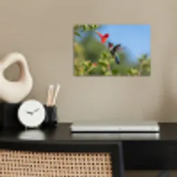 Kolibrie - Bloem - Natuur - Groen poster papier klein -sfeer1