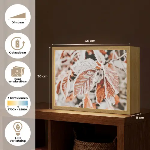 Bladeren - IJs - Winter - Natuur Light Box met batterij (Wandlamp) middel -USP_websiteoverzichtNL