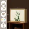 Cactus - Groen - Minimalistisch Light Box met batterij (Wandlamp) middel -USP_websiteoverzichtNL