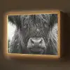 Schotse hooglander - Zwart - Wit - Sneeuwvlokken Light Box met batterij (Wandlamp) middel -z3d_website